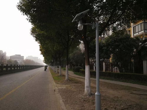 沙浦河邊安裝太陽能路燈進(jìn)展 顧新路道路監(jiān)控設(shè)施升級(jí) 平流霧下的新顧城 沙浦路新裝修永輝生活超市 友誼西路劃道路標(biāo)識(shí)線